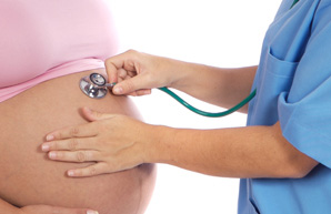 lacaracolamalaga.com