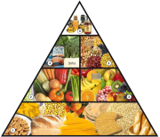piramide_alimentacion_vegana11-1_03