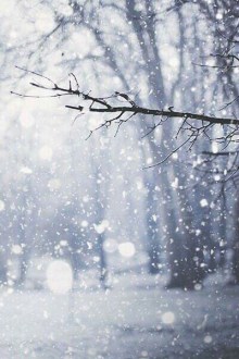 tumblr_nzx1cmySub1u8bfjpo1_400